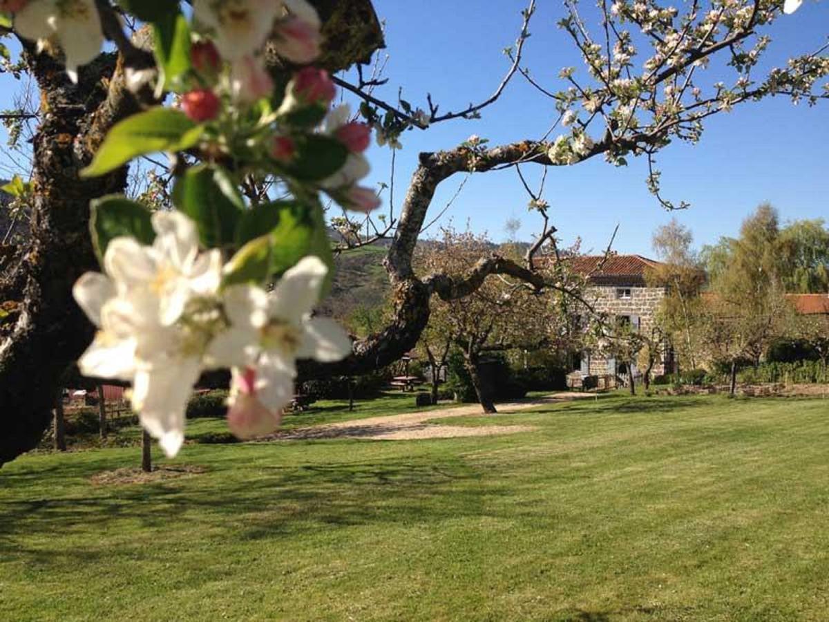 Les Jardins D'Anna - Chambres D'Hotes Tapon Esterno foto